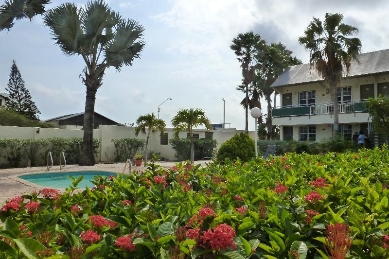 Hotel MVC Eagle Beach Palm Beach Esterno foto